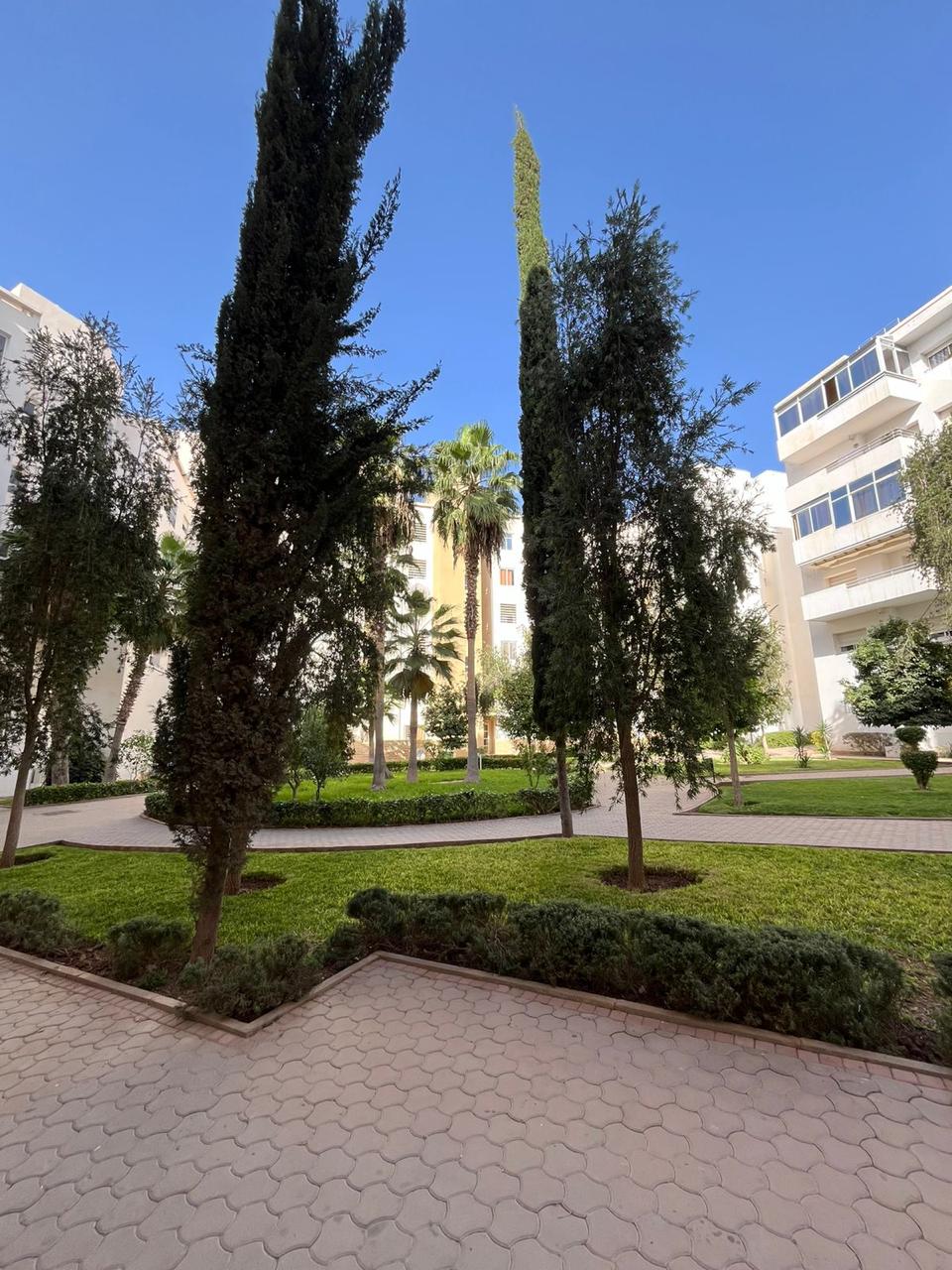 Appartement moderne - Salon